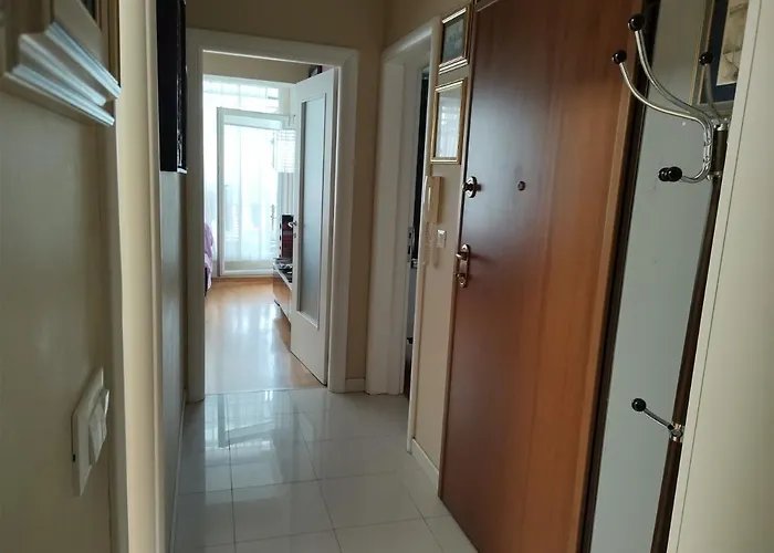 Apartment Sunny Day Split