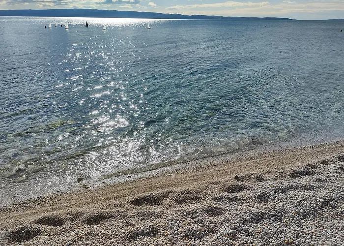 Sunny Day Split