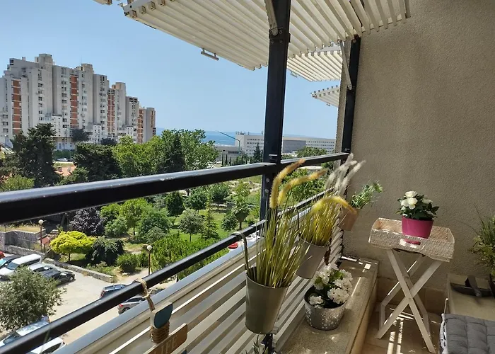 Apartment Sunny Day Split