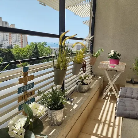 Apartment Sunny Day Split