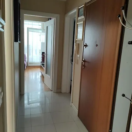 Apartment Sunny Day Split