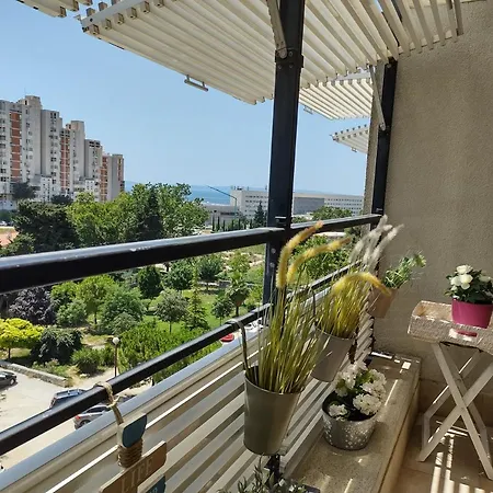 Apartment Sunny Day Split